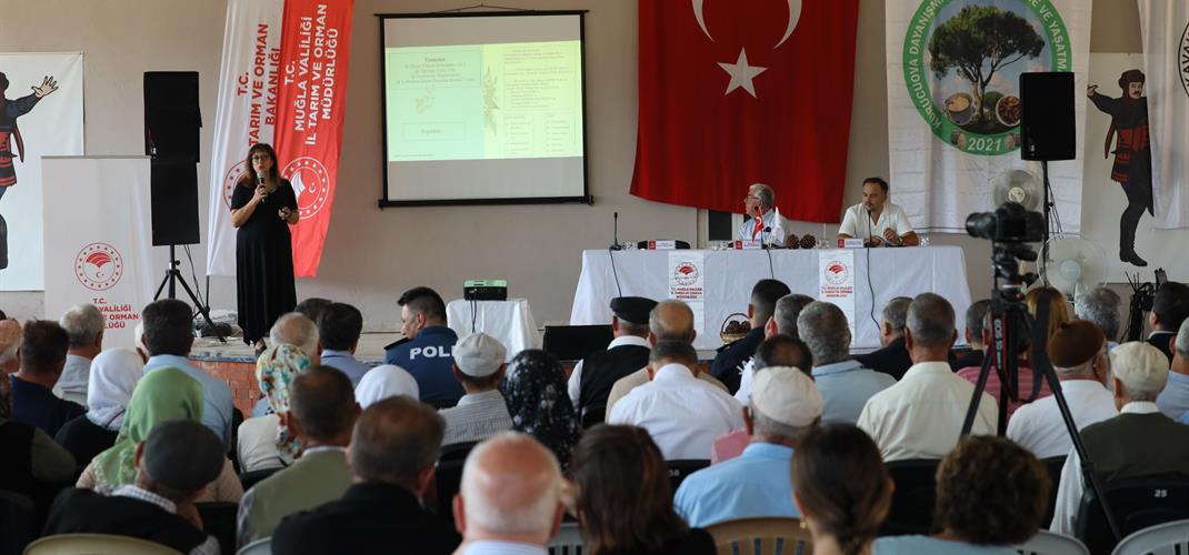 Muğla’da Çam Fıstığıyla İlgili Panel Düzenlendi