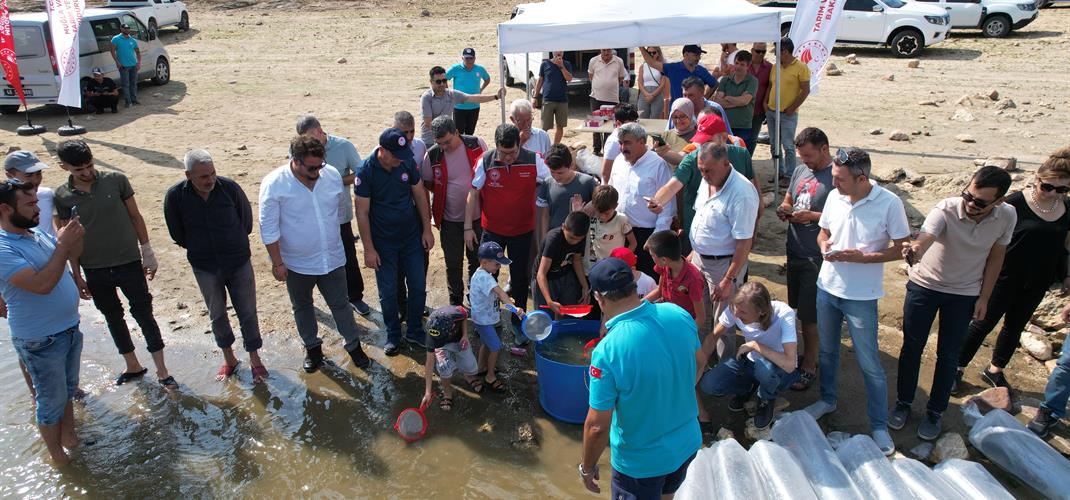 GEYİK BARAJI'NA 100 BİN BALIK YAVRUSU BIRAKILDI