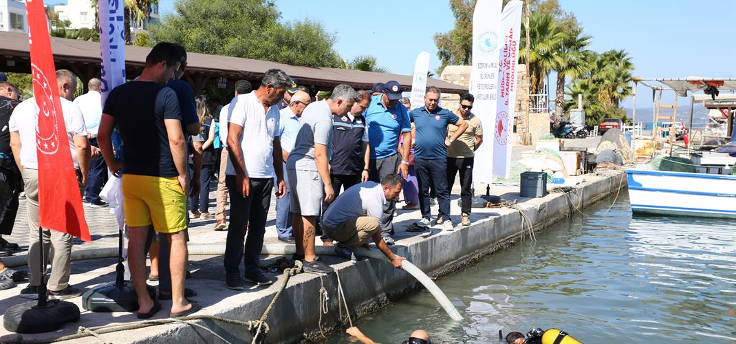 Milas Boğaziçi’nde Balıklandırma Etkinliği Gerçekleştirildi