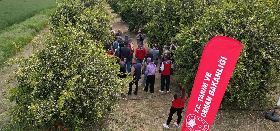 DERİM Modeli ile Çiftçiler Deneyimlerini Sahada Paylaşıyor