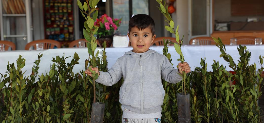 Ula’da Üreticilerimize 38 Bin Defne Fidanı Temin Edildi.