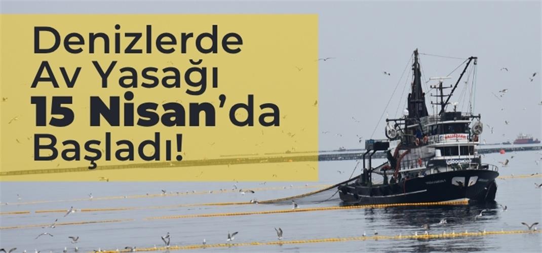 2025–2026 Su Ürünleri Av Sezonu Sona Erdi